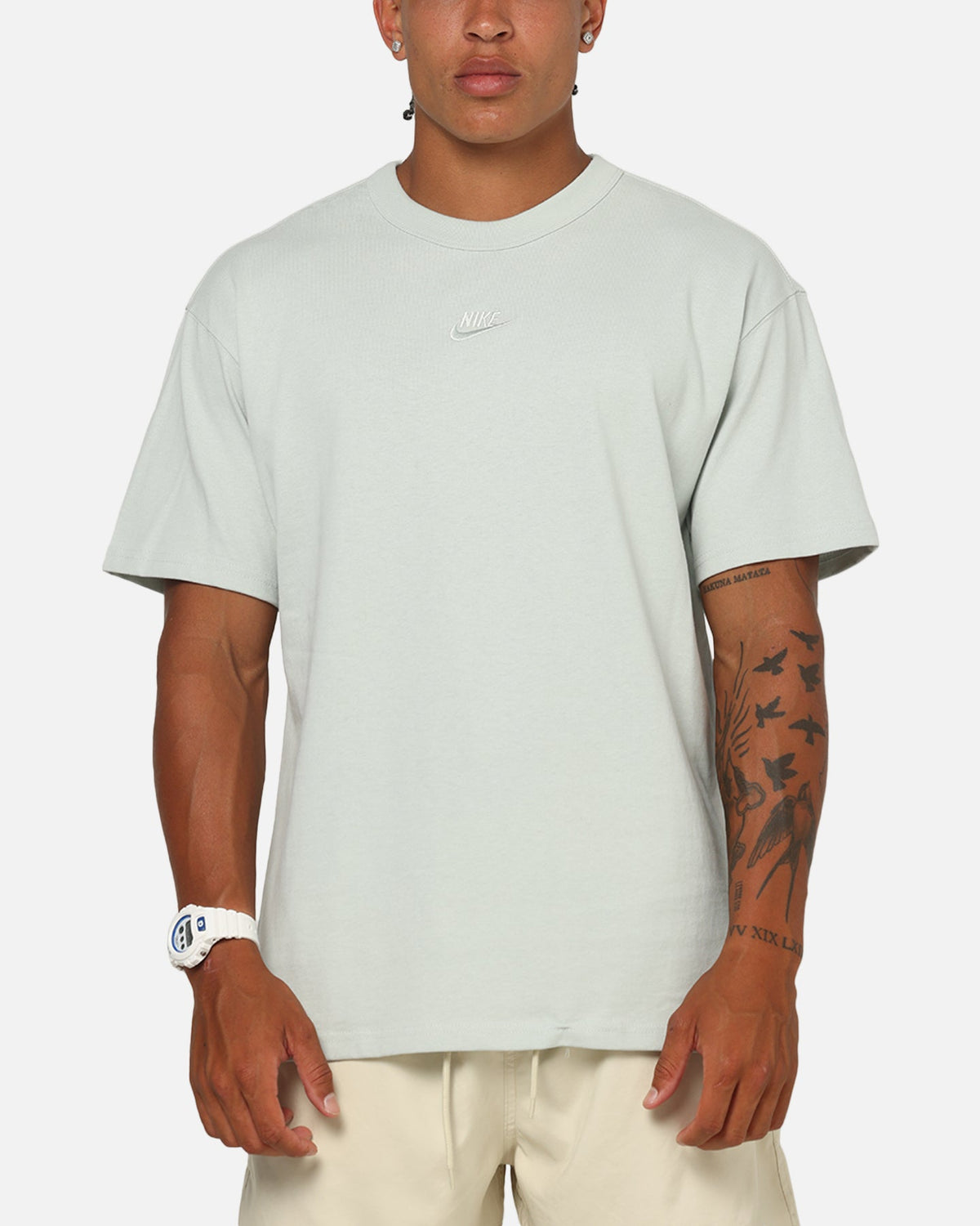 Nike Sportswear Premium Essentials Sustainable T-Shirt Light Silver