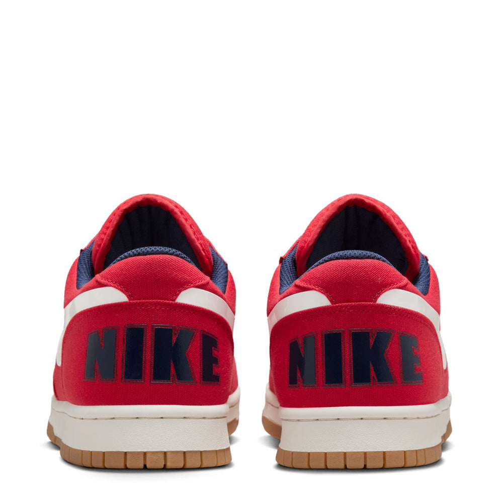 Big Nike Low - Mens